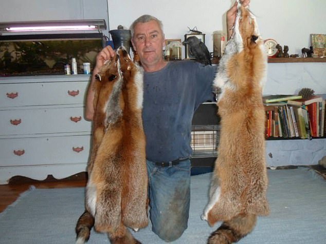 David Sneade who snares foxes for the fur trade in Wales