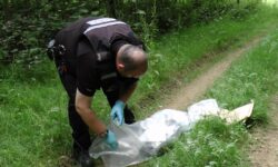 Badger snared and shot near Basingstoke, Hampshire