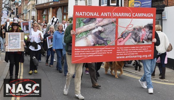 The anti-snaring demonstration march through the streets of Arundel