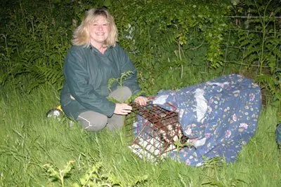 copyright Gwent Badger Group