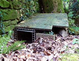 Hidden cage trap for rabbits