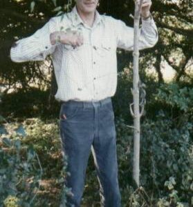 Deer snared and killed by snare. Several snares around a pheasant pen nearby. They were illegal self-locking, and attached to flimsy poles. Kingly Vale, Sept 1996