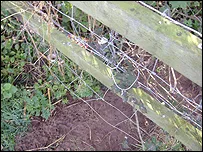 Illegal snare found in Exeter