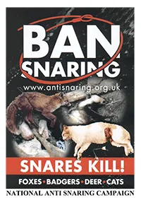 Consultation on Snaring in Scotland report