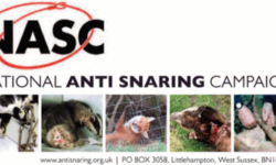 Petitions Committee of Welsh Parliament agree to ask Environment Minister for a total ban on snaring in Wales following our NASC petition