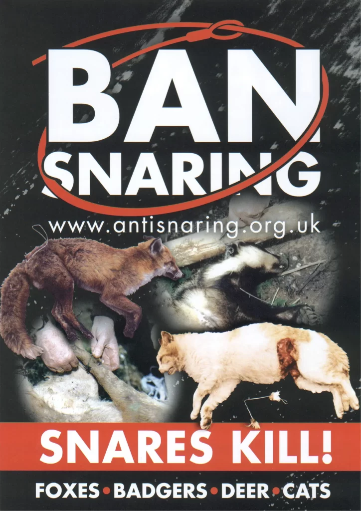 National Anti Snaring Campaign A4 Snares Kill Flyer