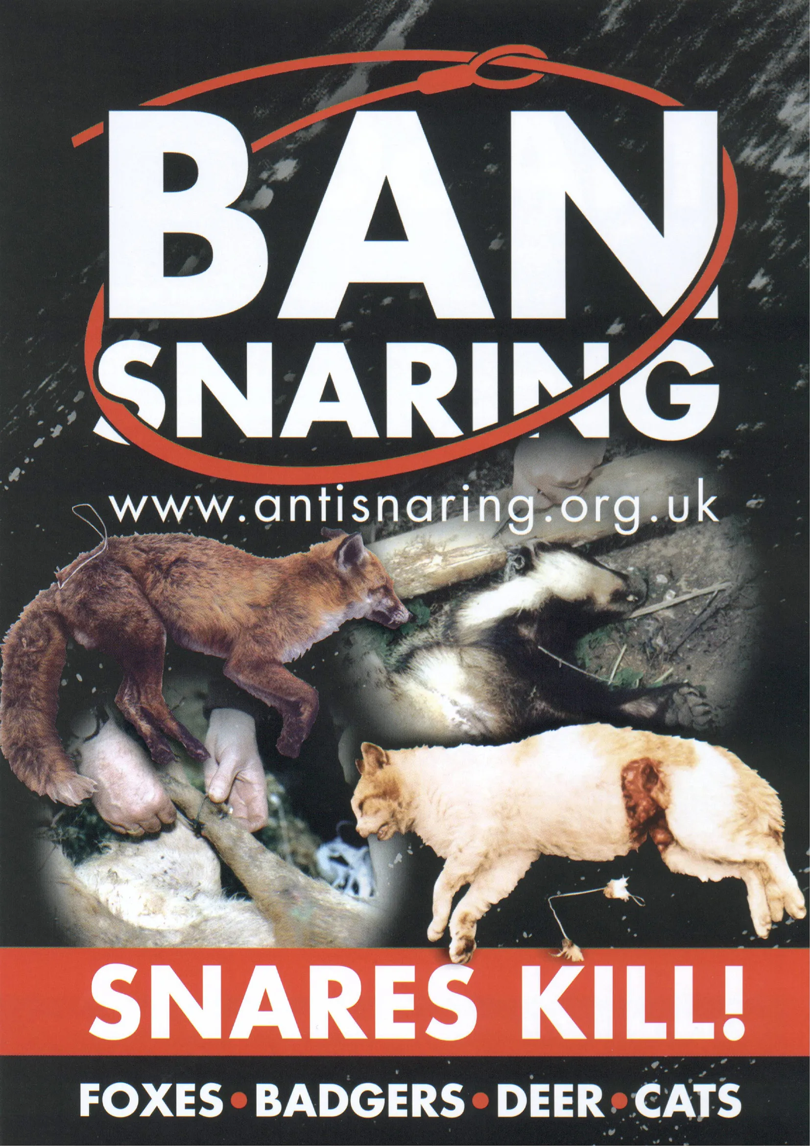 Types of Snares - National Anti Snaring Campaign