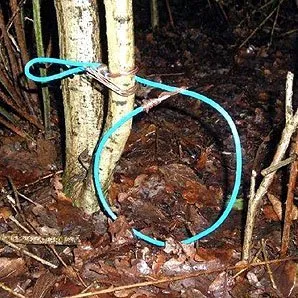 rabbit snare left in park