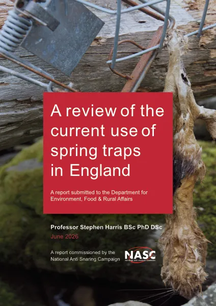 A review of the current use of spring traps in England, 2026