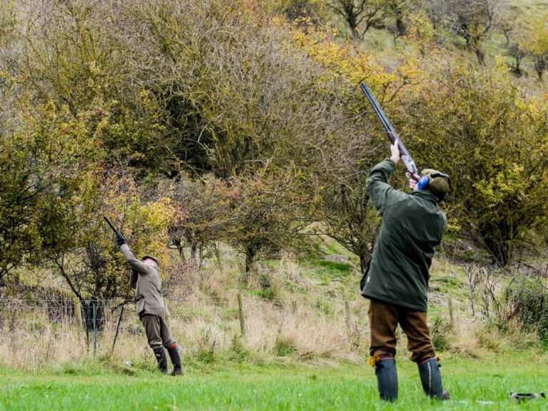 Sandringham estate gamebird shooting