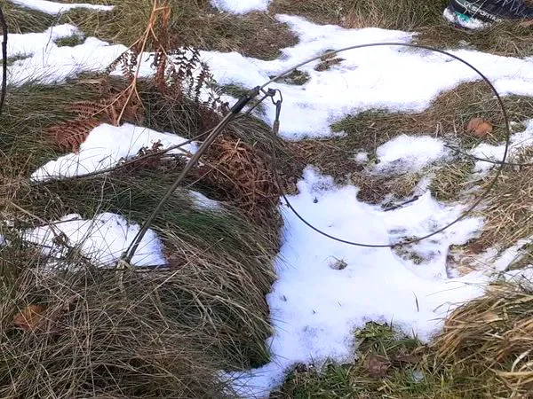 Snare set in freezing conditions on the Bolton Abbey Estate