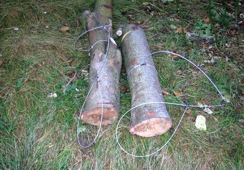 Drag Pole Snare set on a log