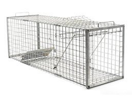 Fox Cage Trap